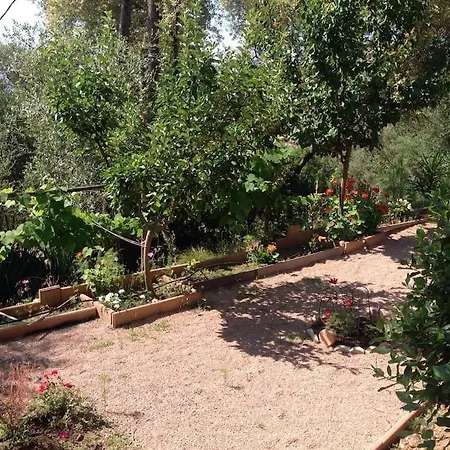 Villa 8 Personnes Piscine Location Estivale Aa